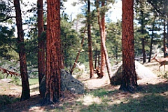 1997 - USA 036 (Rocky Mountain National Park, CO)